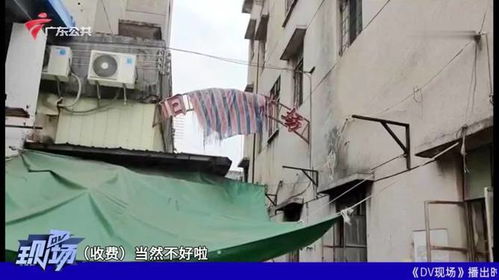 网友爆料 狂飙 取景地 旧厂街 拍照要收费